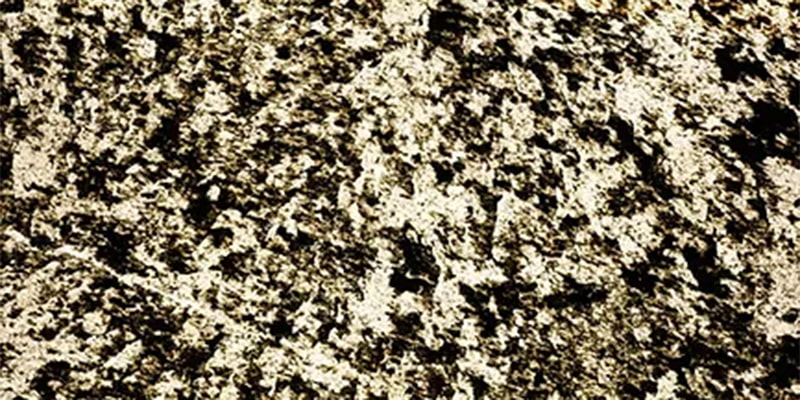 FS-017ICE Gries(グリエス)